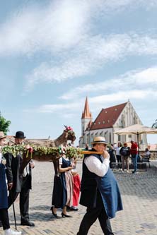 Festival vína VOC Znojmo